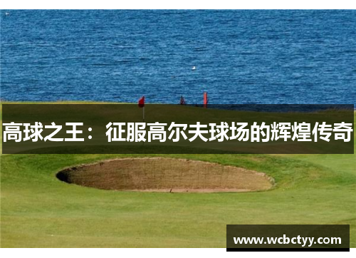 高球之王：征服高尔夫球场的辉煌传奇